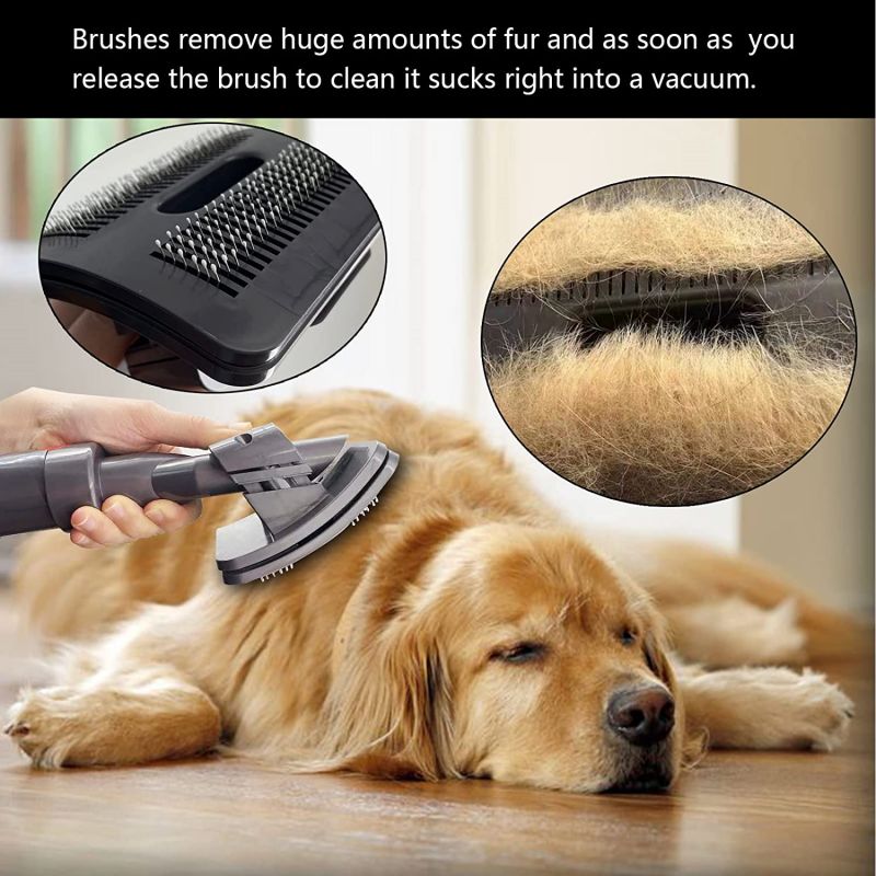 Dog brush